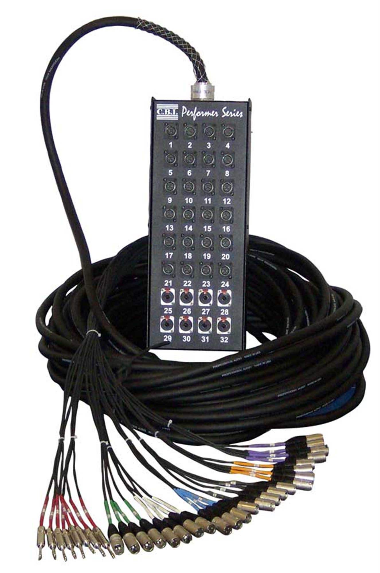 CBI MCB 24x8 Audio Snake with Neutrik Connectors