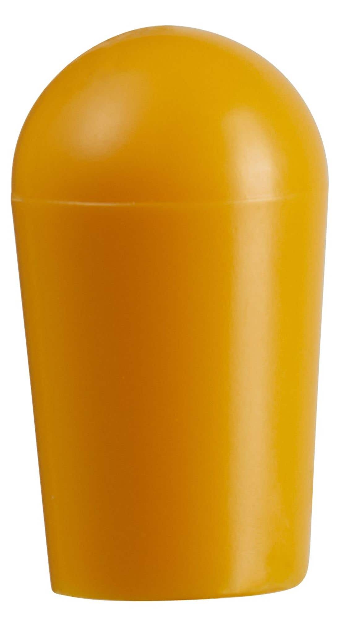 Epiphone Toggle Cap