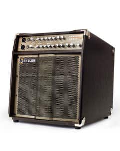 Genzler Acoustic Array PRO Combo 1x10 150 Watts