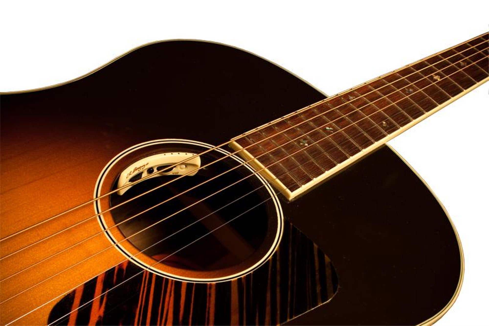 LR Baggs Anthem Acoustic Guitar Pickup and Microphone