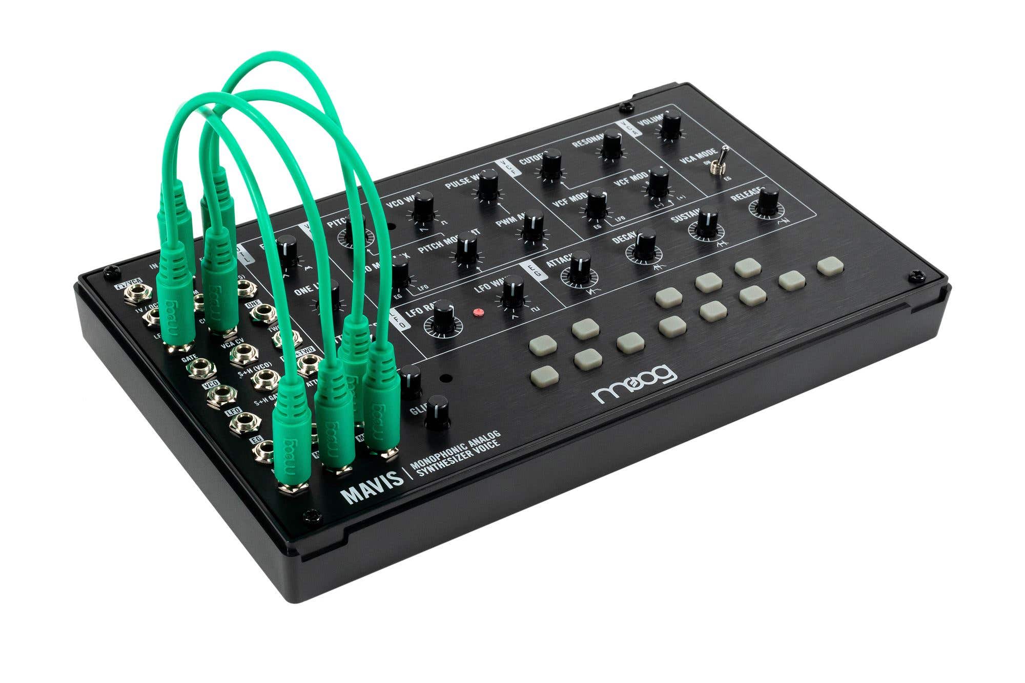Moog Mavis Desktop Analog Synthesizer