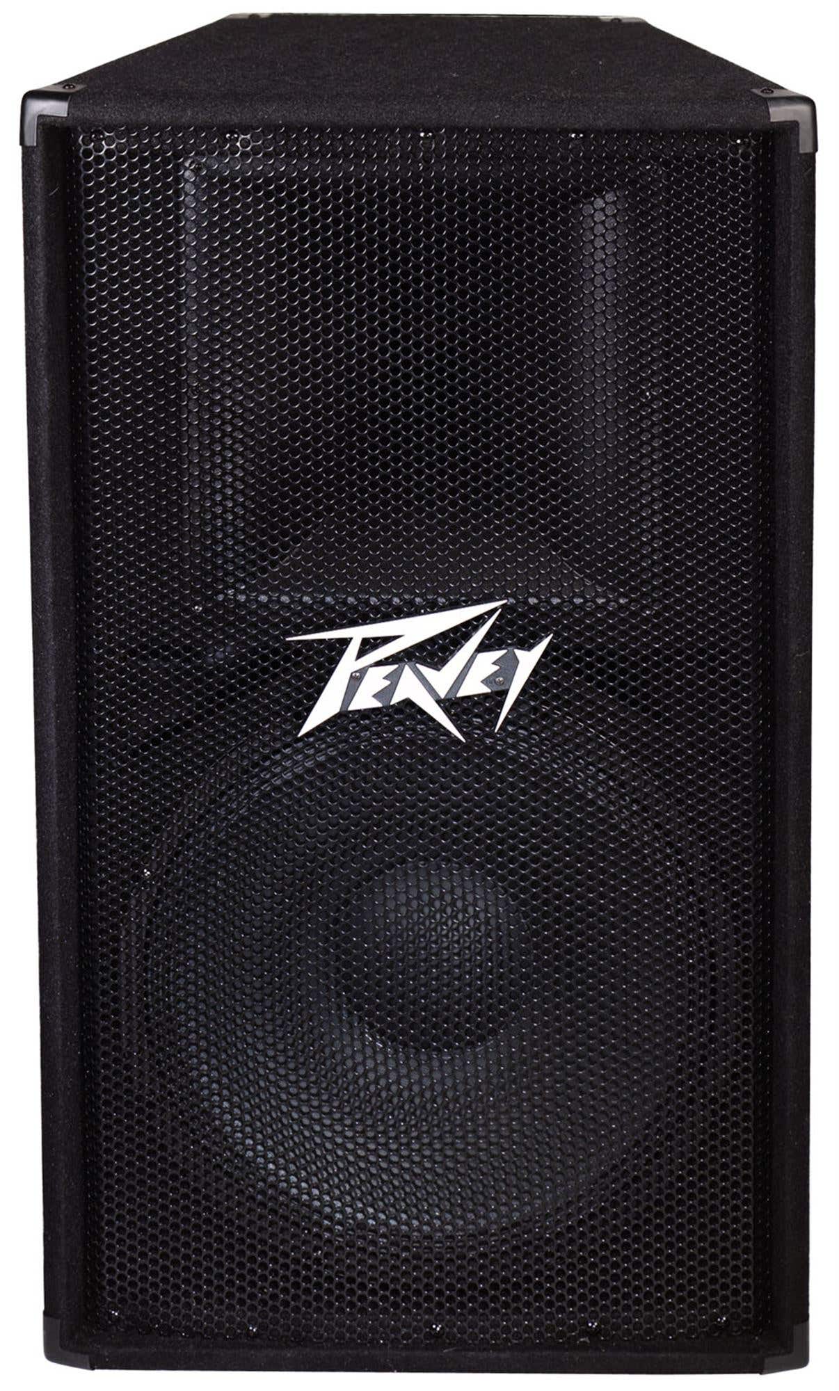 Peavey PV115 PA Speaker