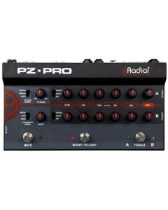 Radial Pz-Pro Dual Channel Acoustic Preamp