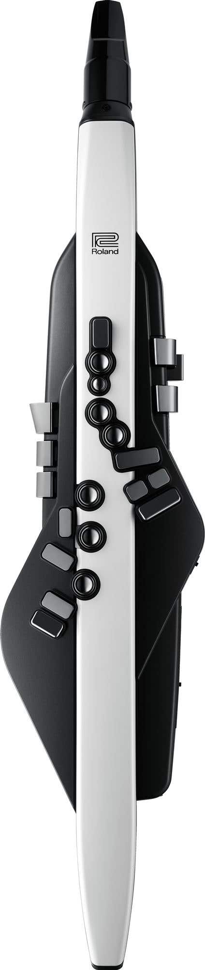 Roland AE-20 Aerophone Wind Instrument