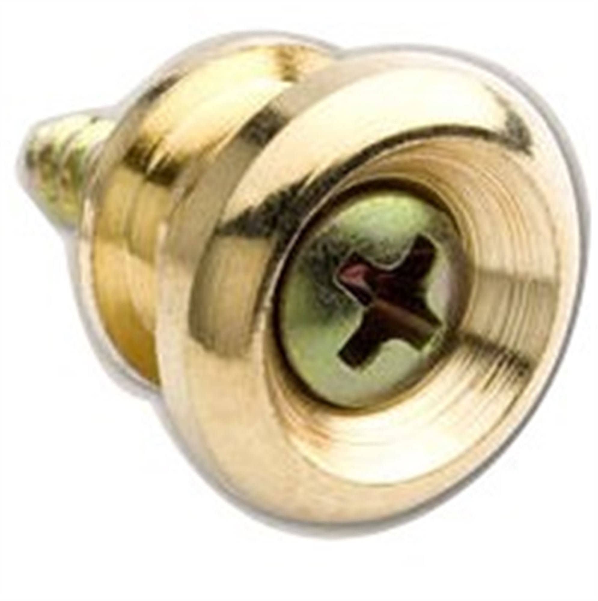 Taylor Strap Button and Screw