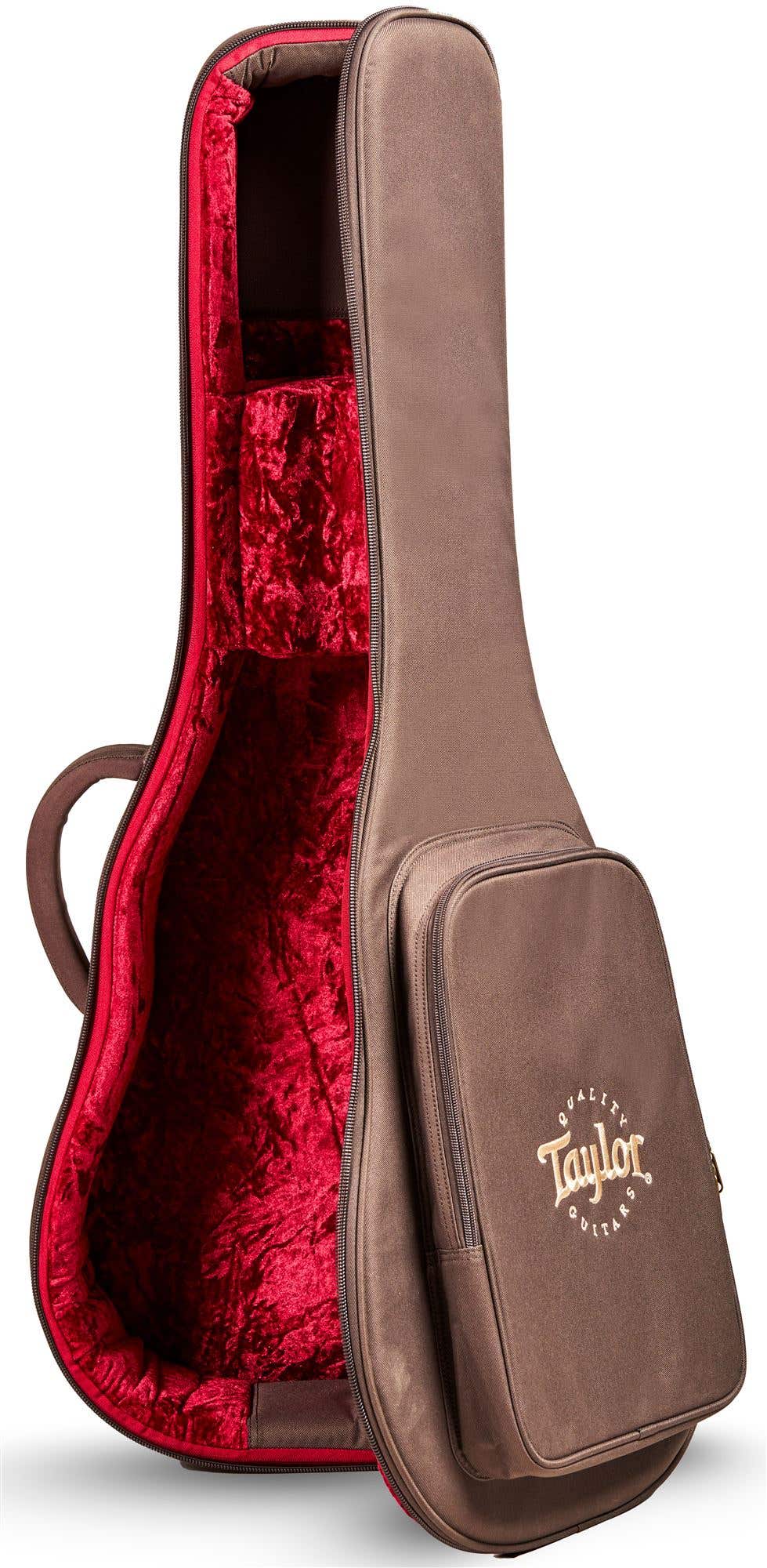 Taylor Grand Auditorium and Dreadnought Super Aero Case