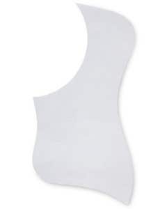 Taylor Pickguard Static Universal