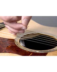 Taylor Pick Guard 5.5" Static Rosette