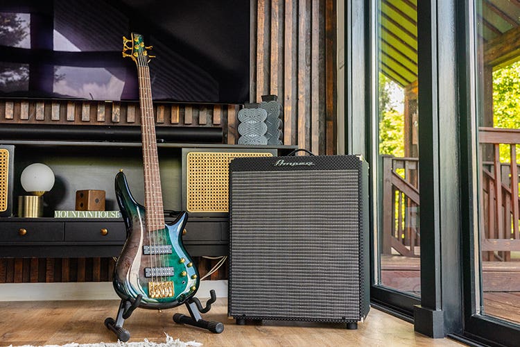 5-String Bass Guitar