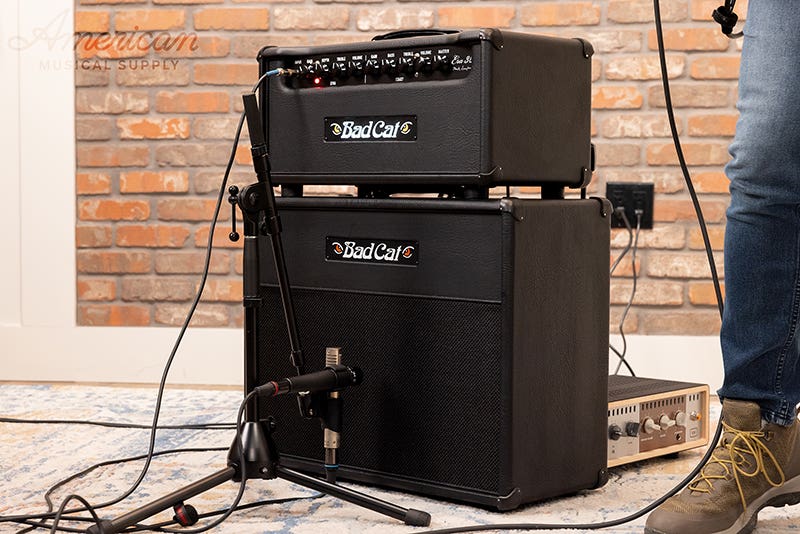 Bad Cat Era 30 Designed for Professionals