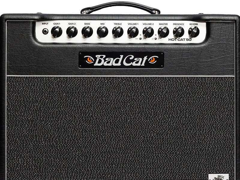 Bad Cat Mod Shop Hot Cat 50 Four Voices. One Fearless Identity