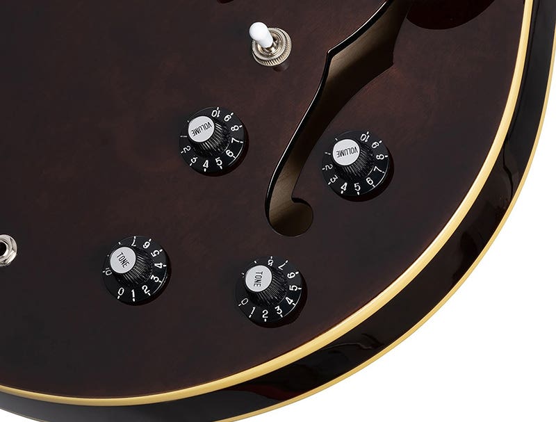 Epiphone Jim James ES-335 Signature Style That Turns Heds and Holds Attention