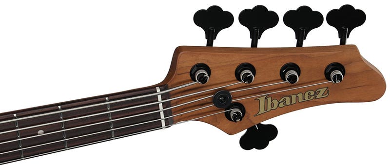 Ibanez Mode MDM1605 5-String Bass A New Benchmark for Bass