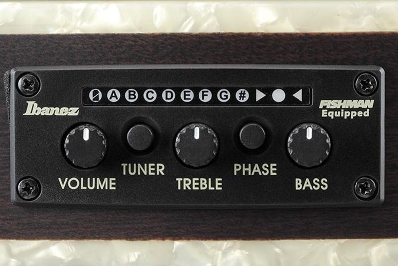 Ibanez Tim Henson TOD10N Smart Features to Electrify Your Performance