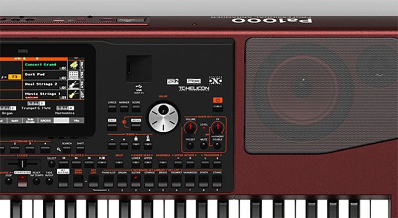 Korg Pa1000 The Ideal Musical Companion