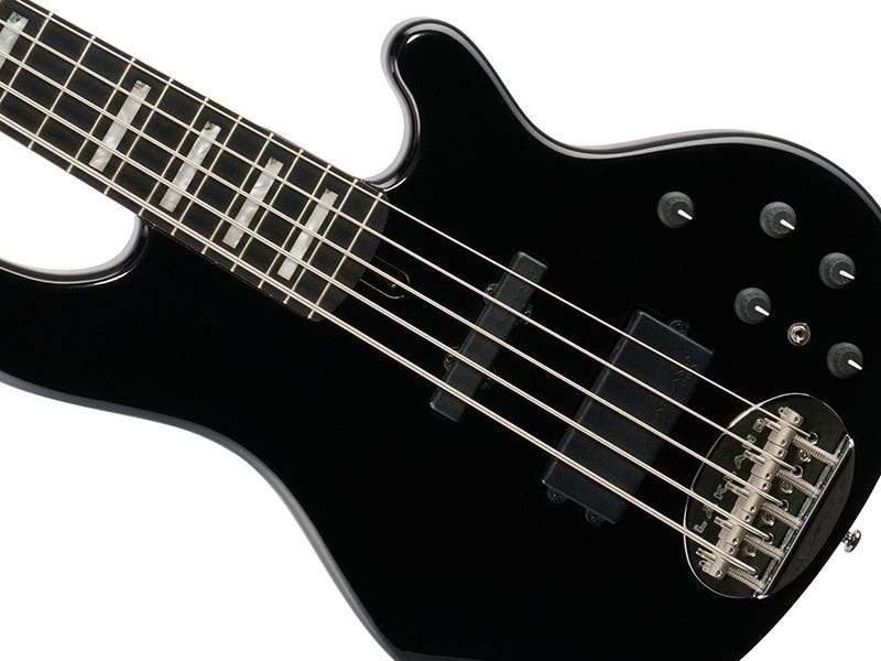 Lakland Skyline 55-02 Monster Tone, Down Low