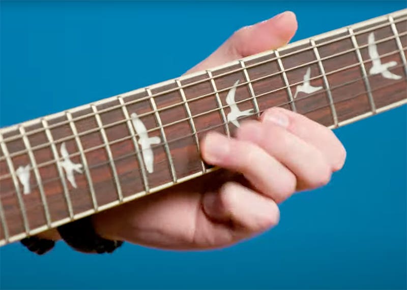 PRS SE Custom 24 Semi-Hollow Piezo A Feast for the Eyes
