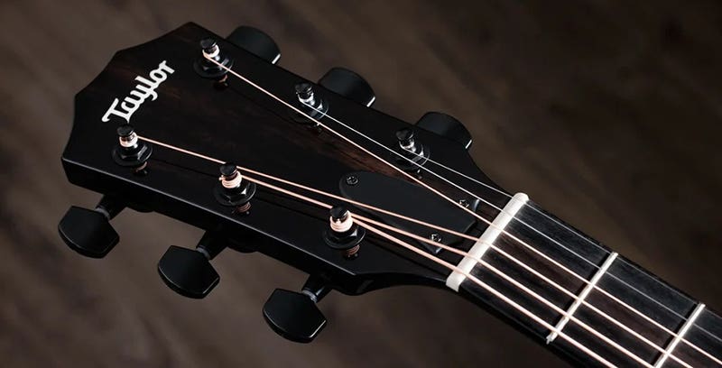 Taylor 217e A Legacy of Quality