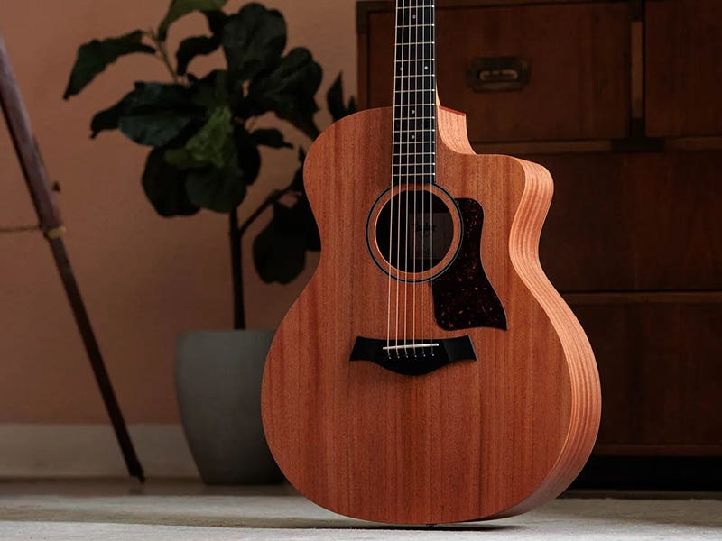 Taylor 24ce Warmth, Wood and Versatility