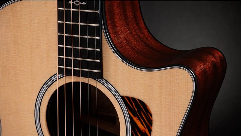Taylor 314ce Your Acoustic, Your Rules