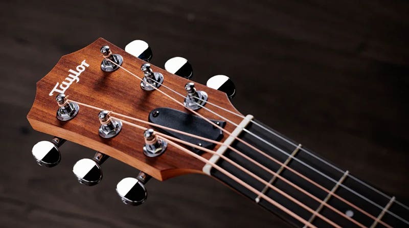 Taylor GS Mini Sapele Built for Life On and Off the Road