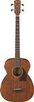 Acoustic Bass Guitars