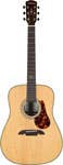Alvarez Dreadnought Acoustic Guitars