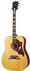 Gibson Dove