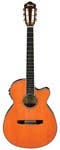Ibanez Classical Guitars