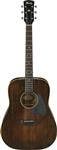 Ibanez Acoustic Guitars