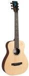 Martin Custom Signature Editions