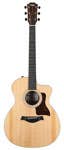 Taylor Acoustic Electric Guitars