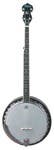 Washburn Bluegrass