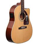 Cutaway Acoustic Guitars