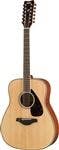12 String Acoustic Guitars