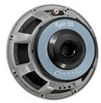 Guitar Amp Speakers