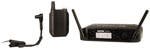 Other Wireless Systems