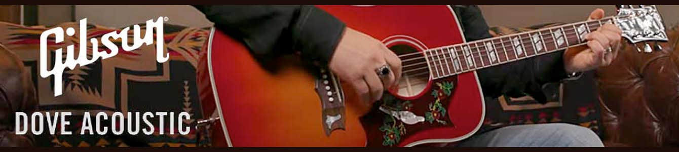 Gibson Dove Acoustic Guitars