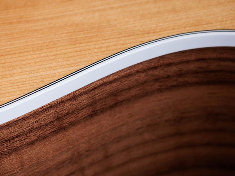 Taylor 214ce Shape Your Sound