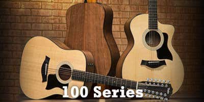 Taylor 100 Series